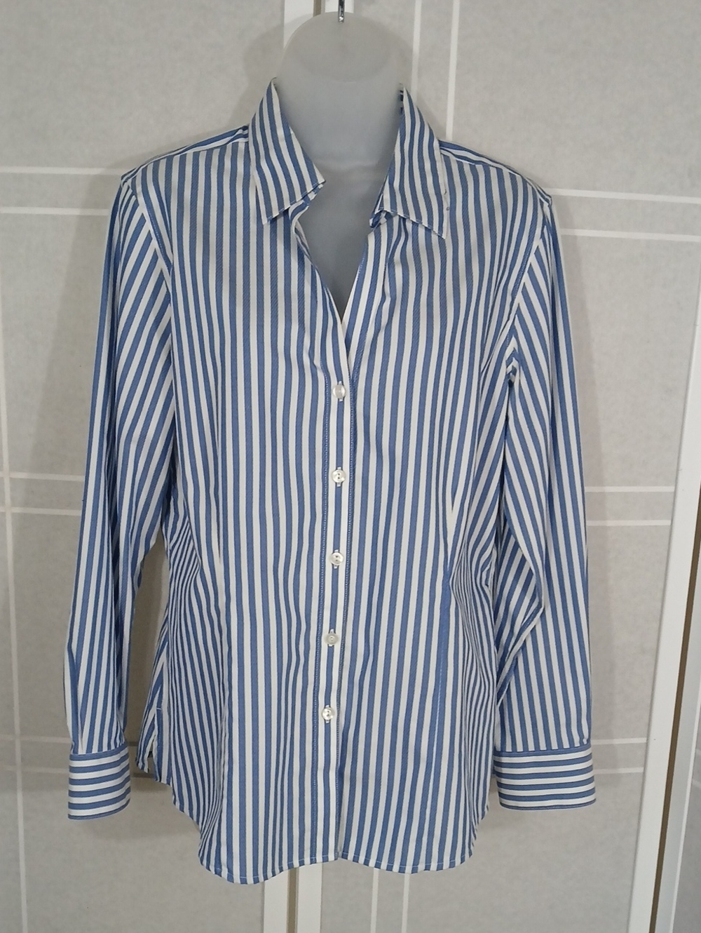 Foxcroft Blue & White Stripe Wrinkle-free Buttondown